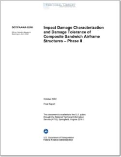 DOT-FAA-AR-02-80 Impact Damage Characterization and Damage Tolerance of Composite Sandwich Airframe Structures - Phase II