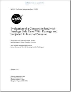 NASA-TM-110309 Evaluation of a Composite Sandwich Fuselage Side Panel with Damage and Subjected to Internal Pressure