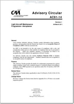 NZCAA-AC91-14 Light Aircraft Maintenance Programme - Aeroplanes