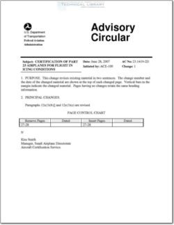 FAA-AC-23.1419-2D-CG-1